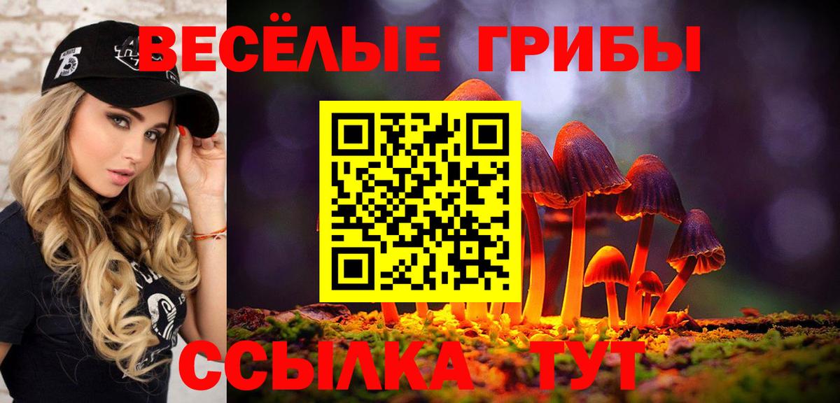 Псилоцибиновые грибы MAGIC MUSHROOMS  Вход с VPN  Псилоцибиновые грибы Magic Shrooms  Асбест 